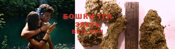 стафф Богданович