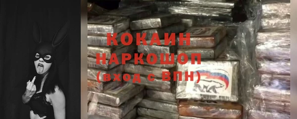 стафф Богданович