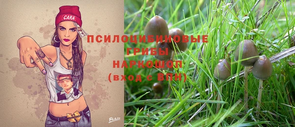 стафф Богданович