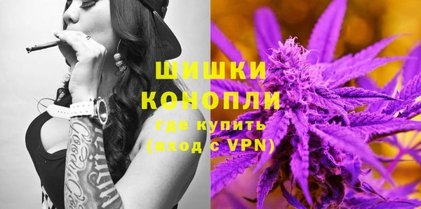 стафф Богданович