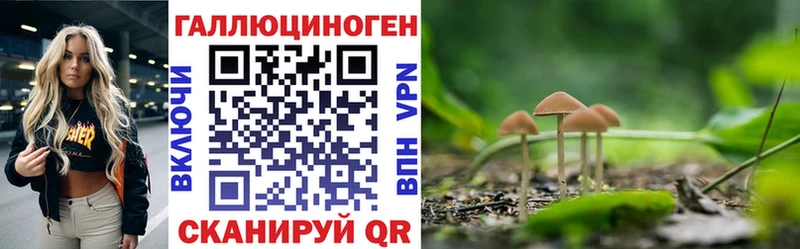 Купить  Барыш  Псилоцибиновые грибы мухоморы 